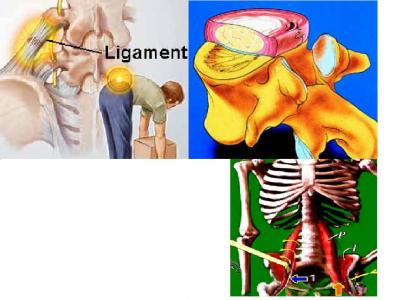 ländr
